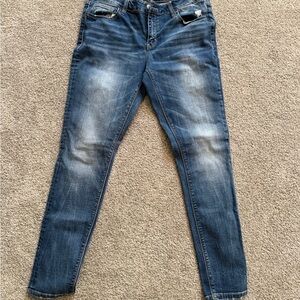 Daytrip Women's Skinny Jeans in Faded Blue